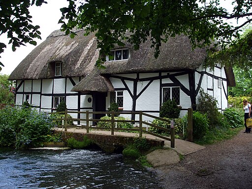 A Guide to Exploring Vineyards from Alresford main photo