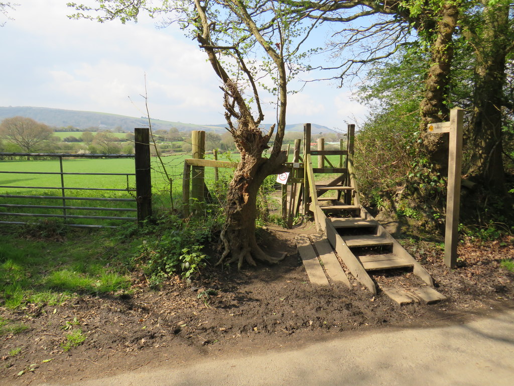 A Guide to Exploring Vineyards from Ditchling main photo