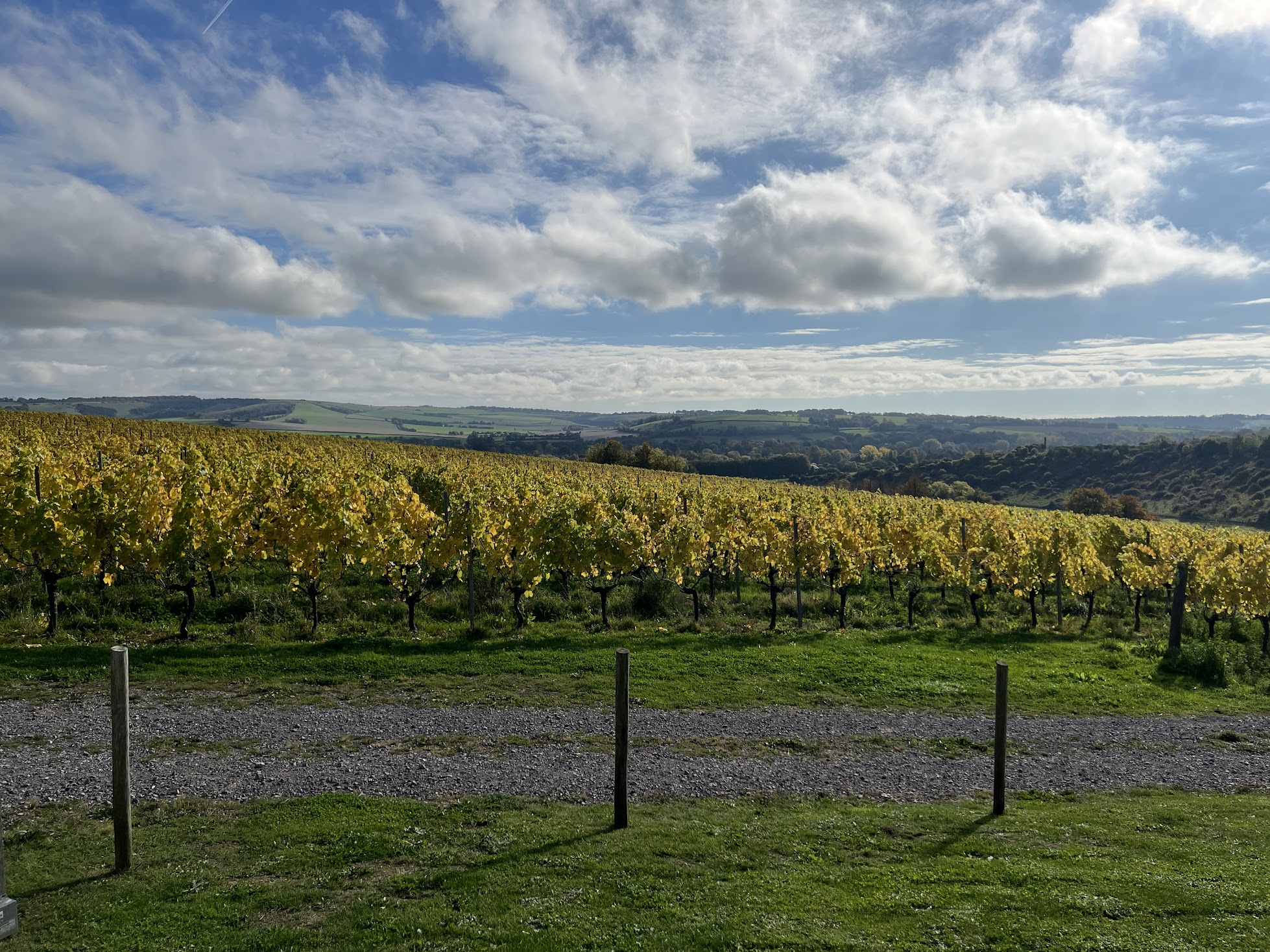 A Guide to Exploring Hampshire's Vineyards photo 2