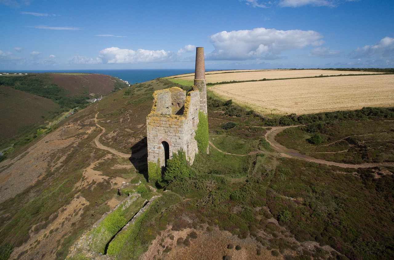 A Guide to Exploring Cornwall's Vineyards photo 3