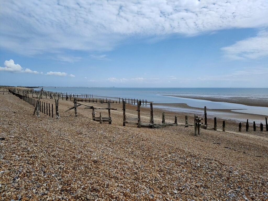 A Guide to Exploring Vineyards from Rye photo 2