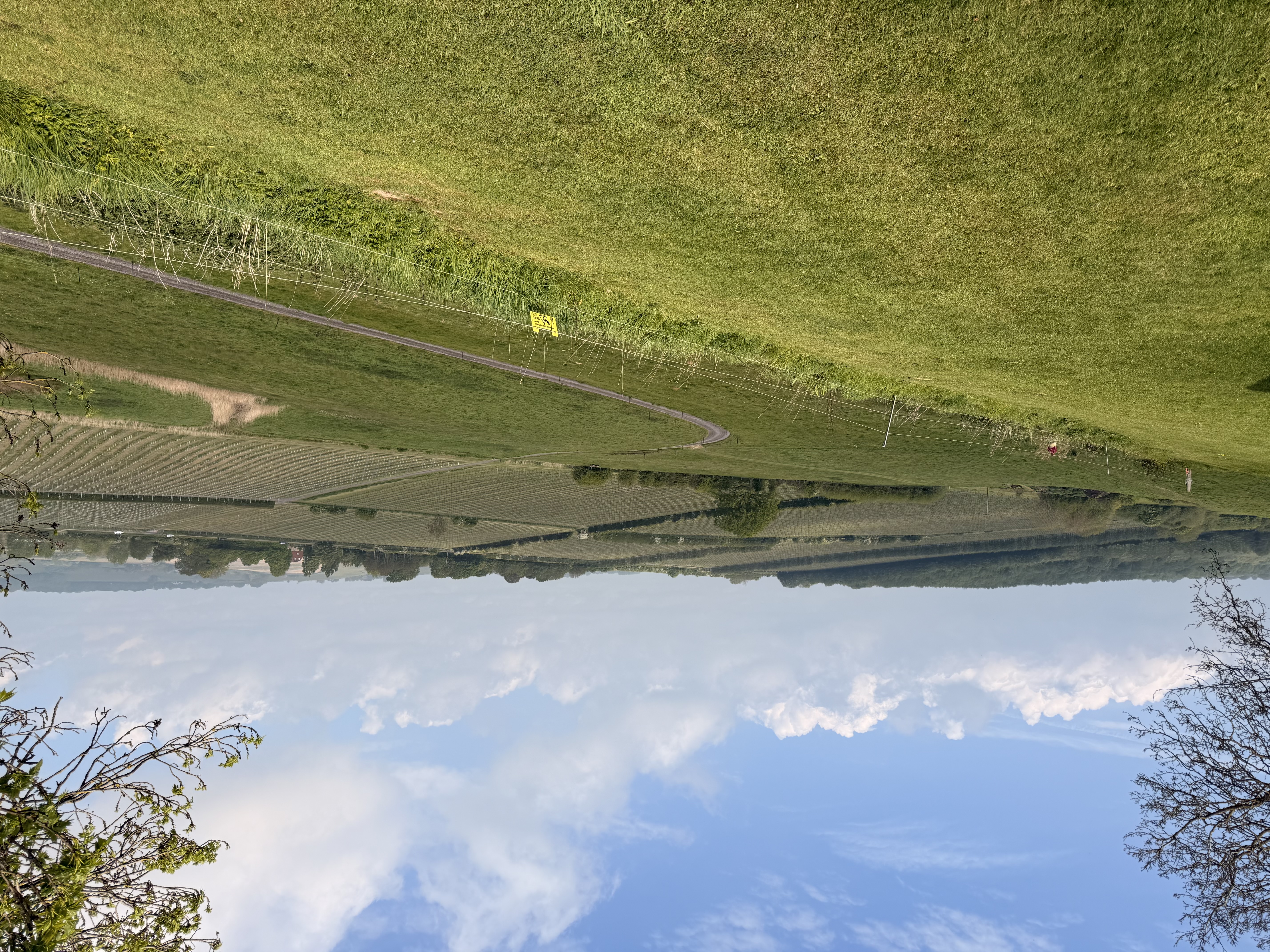 A Weekend visiting the Vineyards of the Rother Wine Triangle, a Sussex Winelands trail