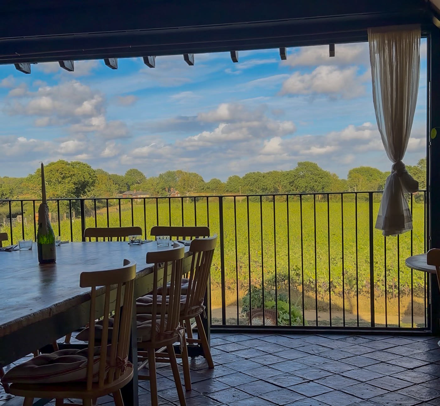 The view over Kinsbrook's vines from the restaurant's open multi-fold doors