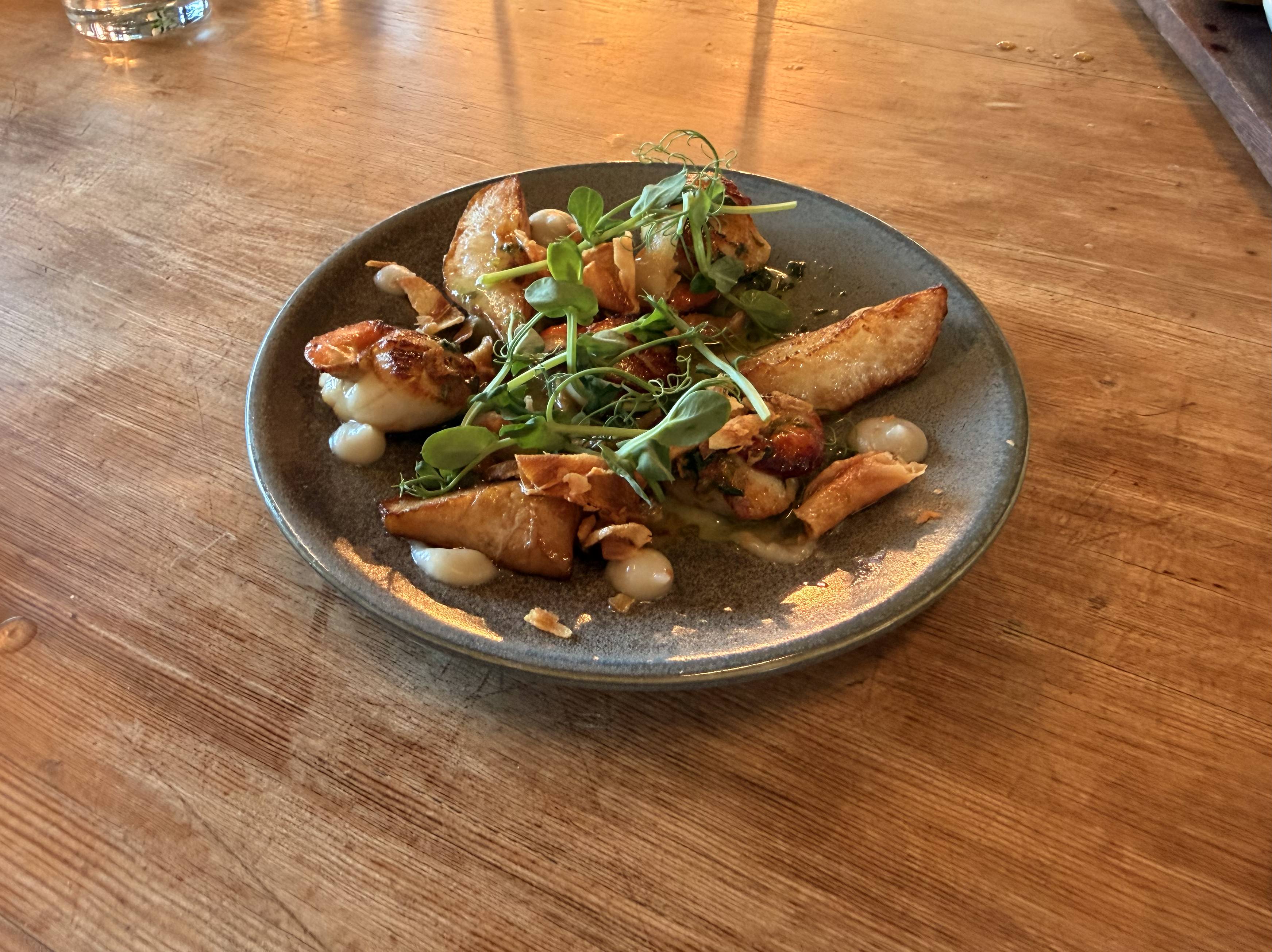 Scallops starter - with fennel?