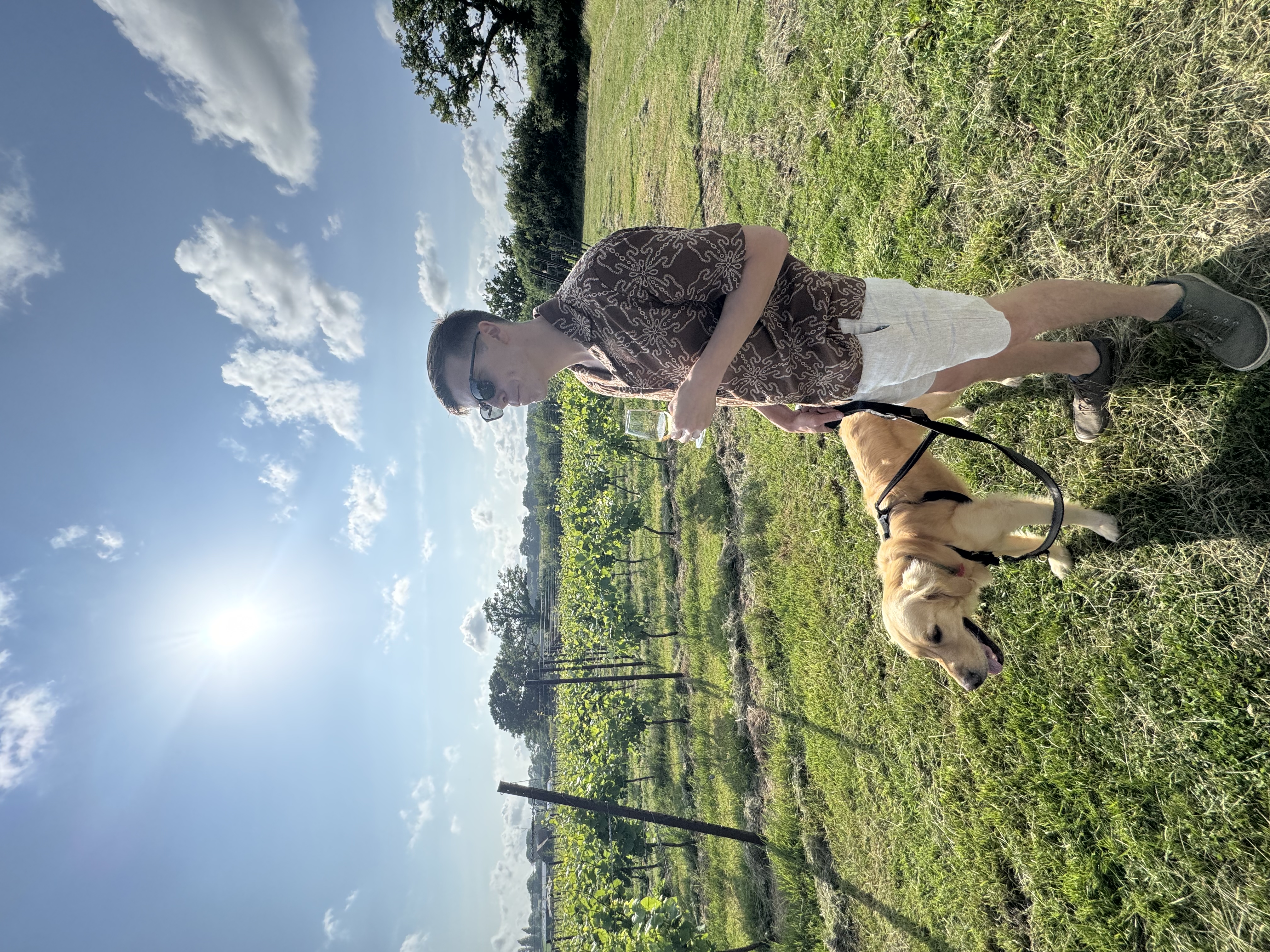 Best Dog-Friendly Vineyards in Sussex