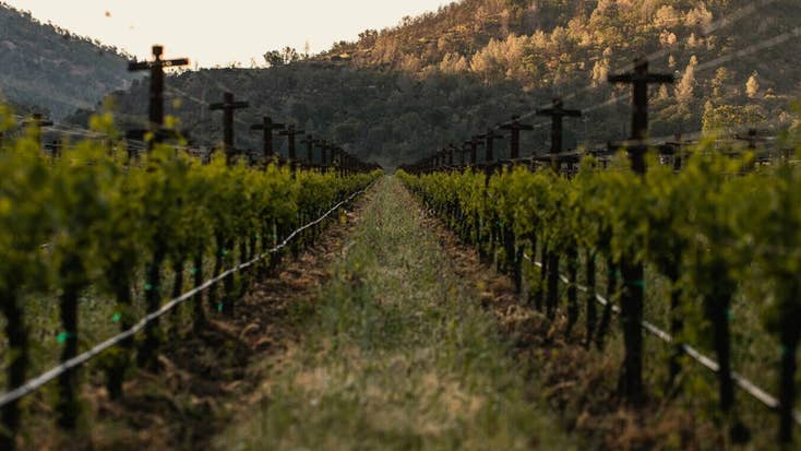 Amber Valley Wines main photo