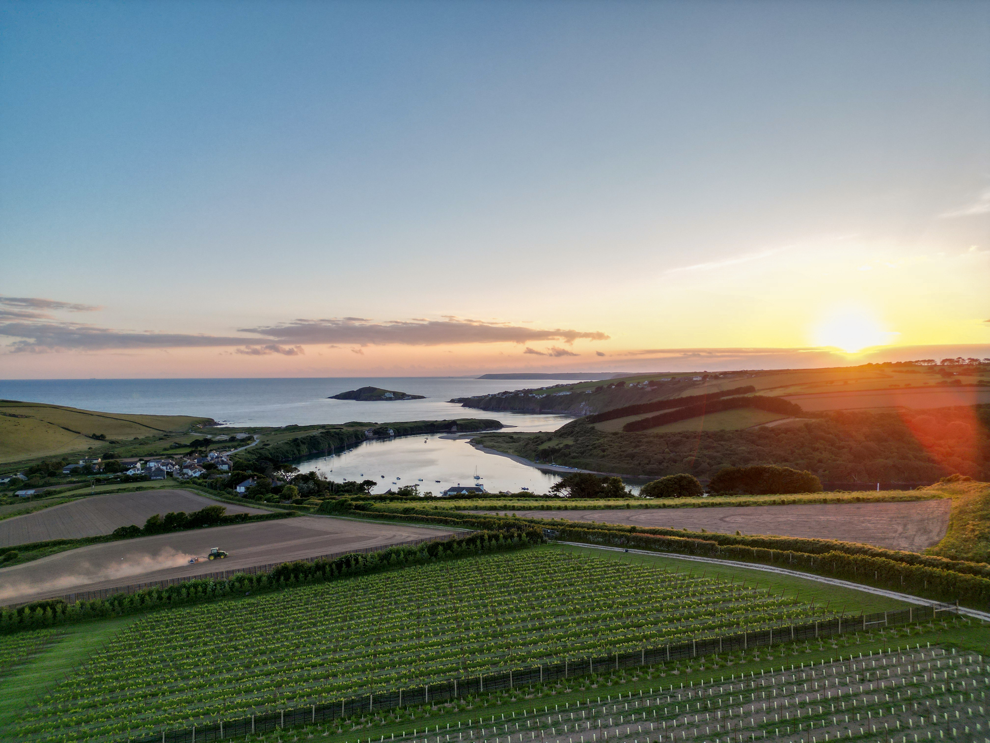 Bantham Vineyard main photo