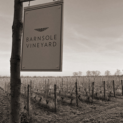 Barnsole Vineyard main photo