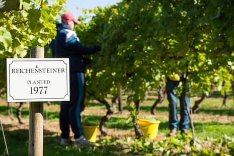 Biddenden Vineyards Limited main photo