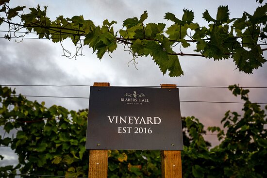 Blabers Hall Wine Estate main photo