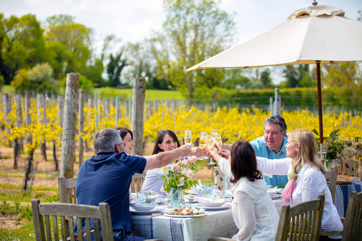 Black Dog Hill main photo