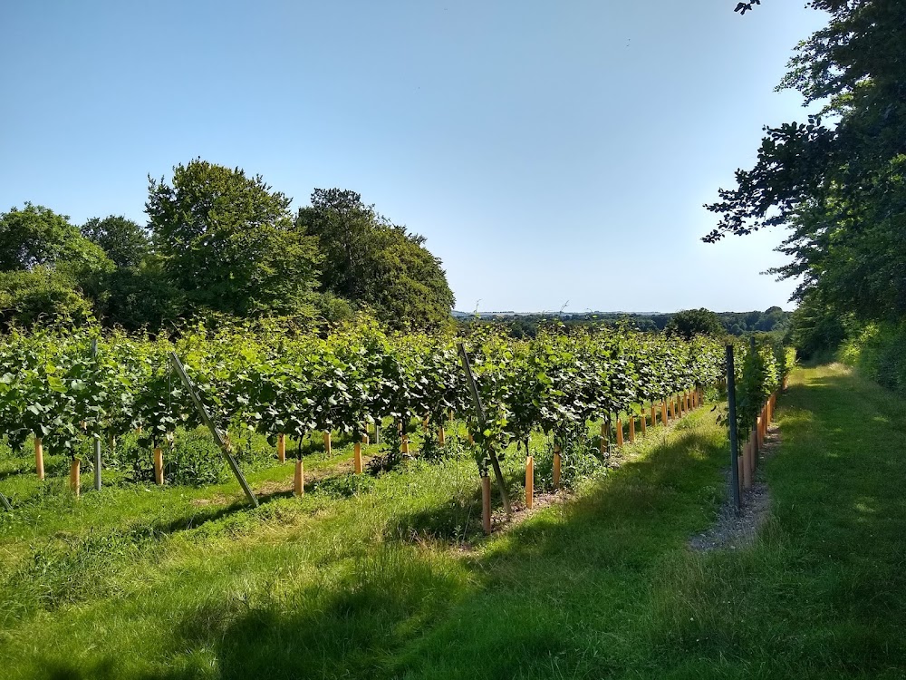 Bluestone Vineyard Ltd main photo