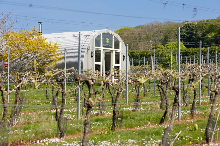 Brabourne Vineyard main photo