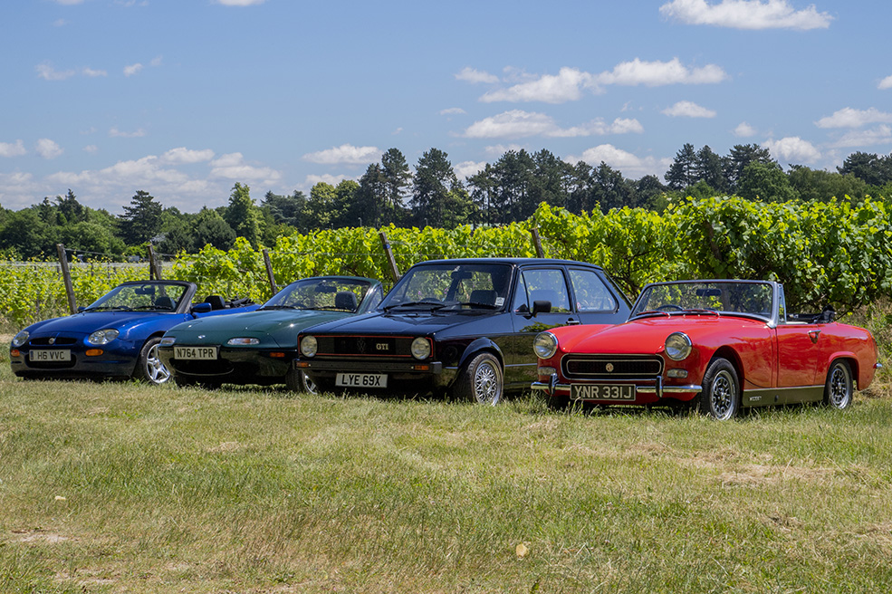 Brightwell Vineyard main photo