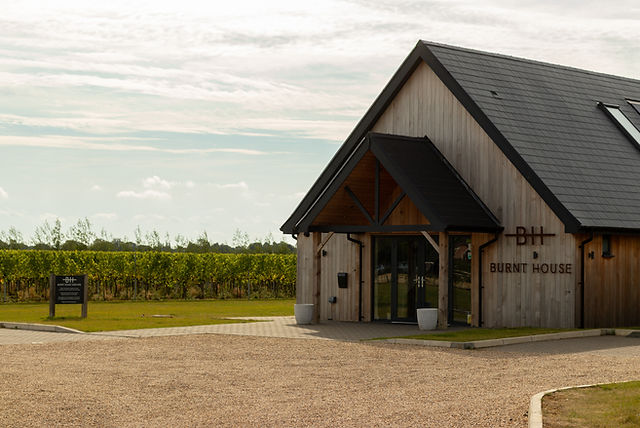 Burnt House Vineyard main photo