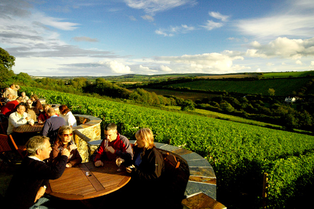 Camel Valley main photo