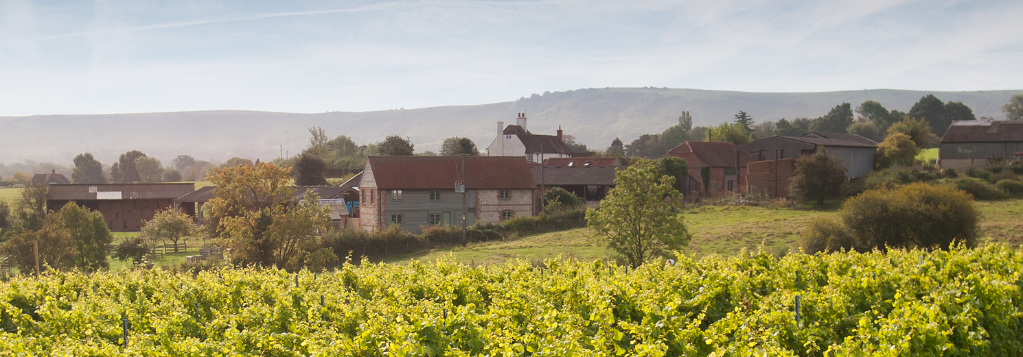 Court Garden Vineyard main photo