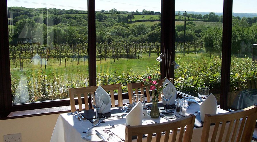 Cwm Deri Vineyard main photo