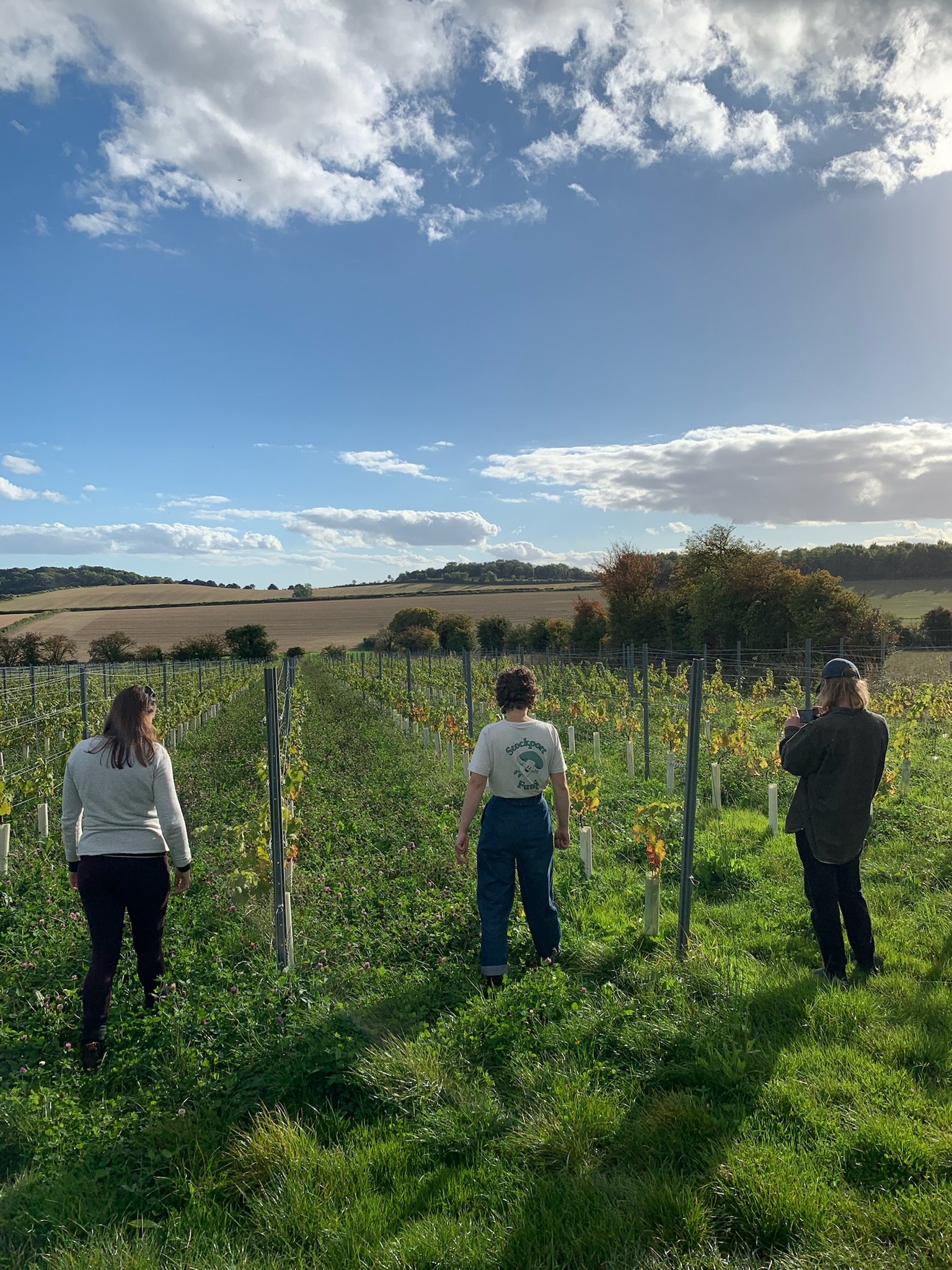 Domaine Hugo main photo