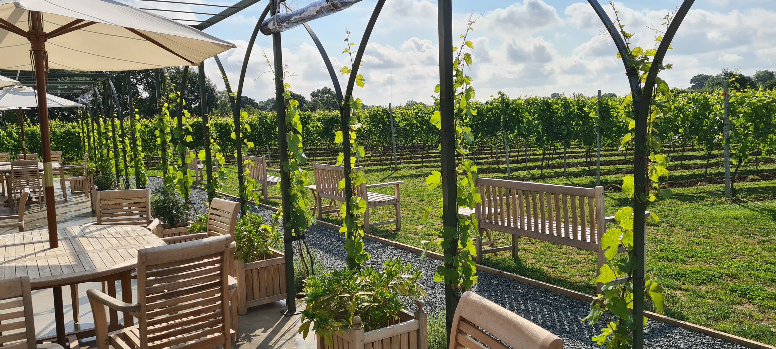 Dunesforde Vineyard main photo