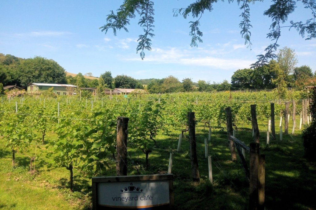 Elham Valley Vineyard main photo