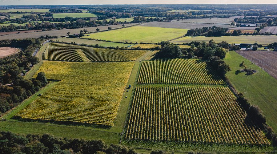 Flint Vineyard main photo