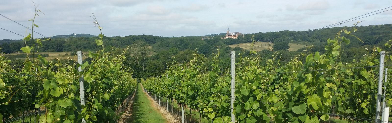 Fox And Fox Mayfield main photo