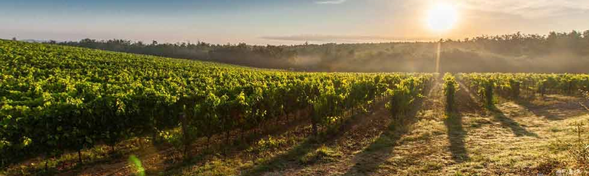 Hanwell Wine Estate main photo