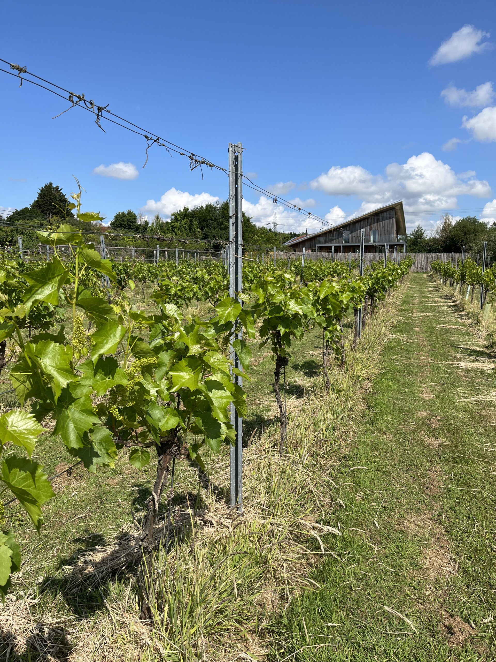 Heron Farm main photo