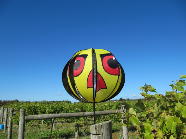 Highdown Vineyard main photo