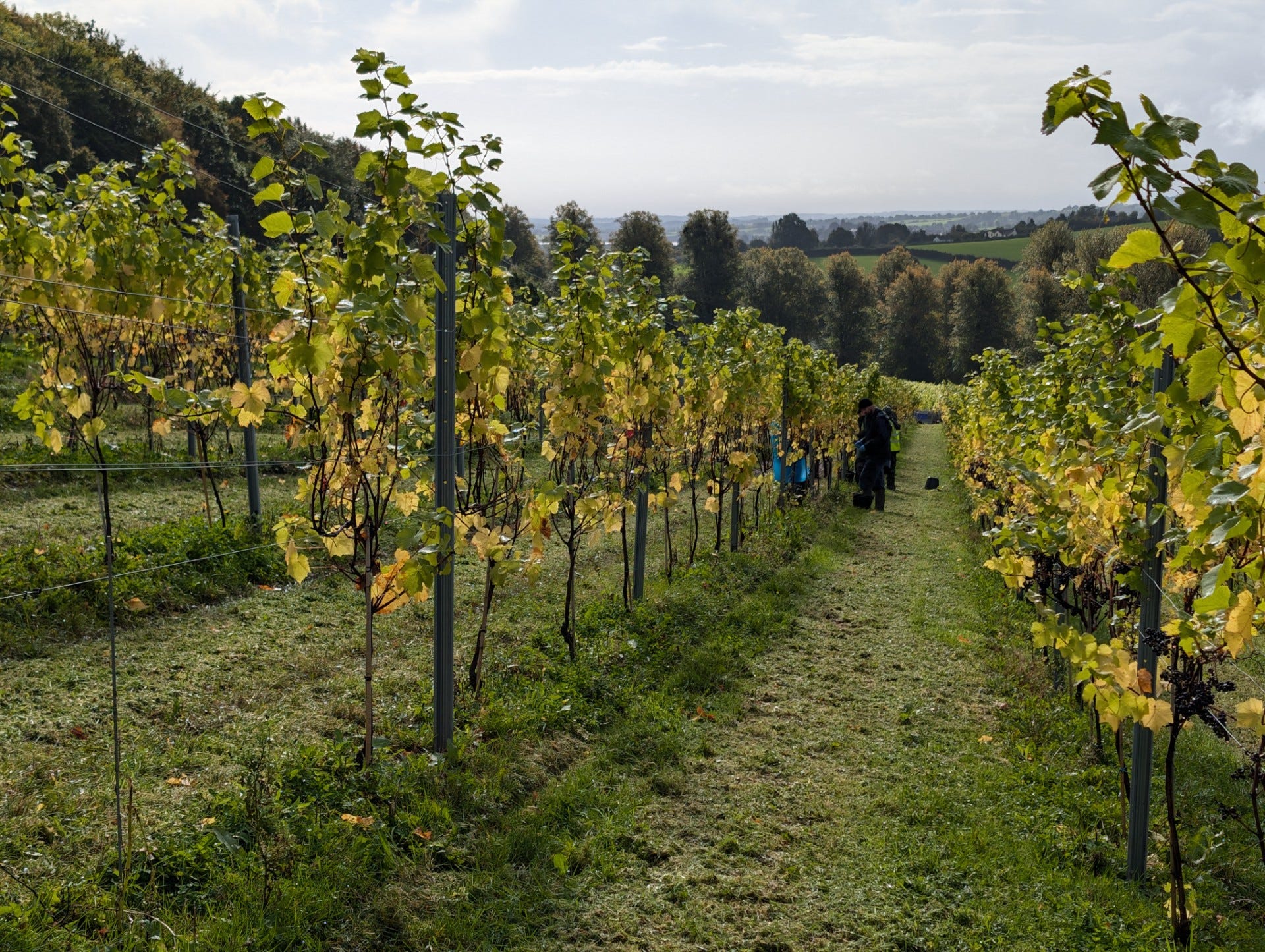 Kingsthorne main photo