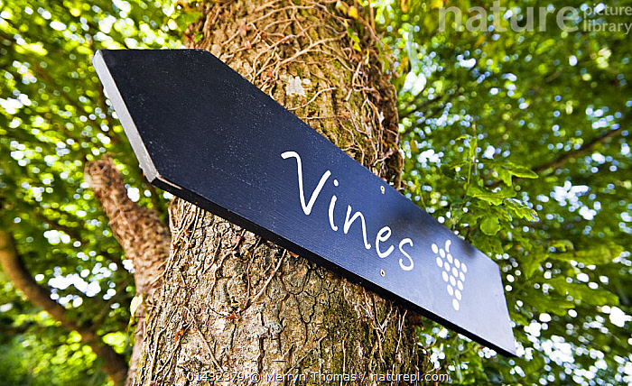 Knightor Winery main photo