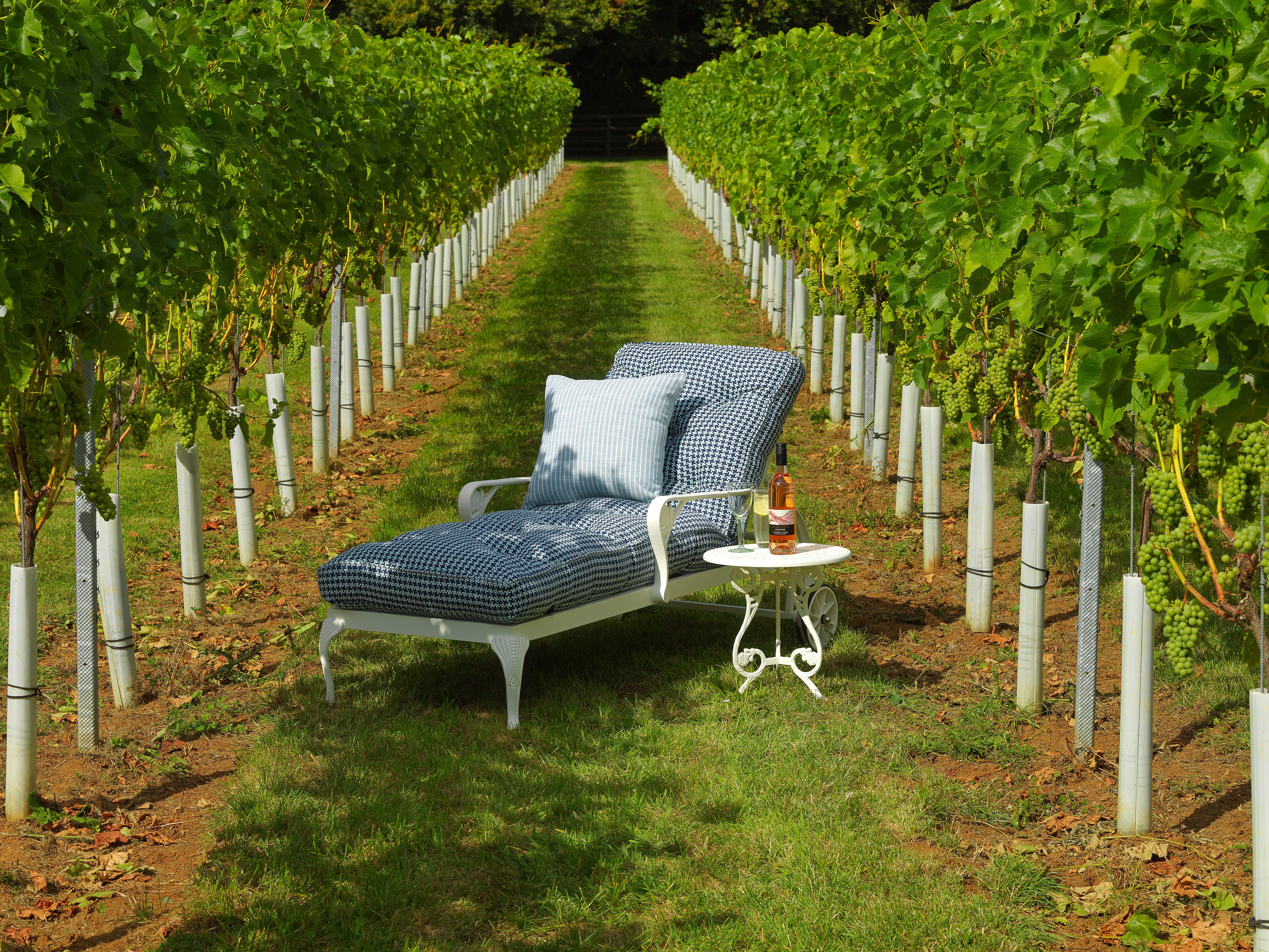 Larkhill Vineyard main photo