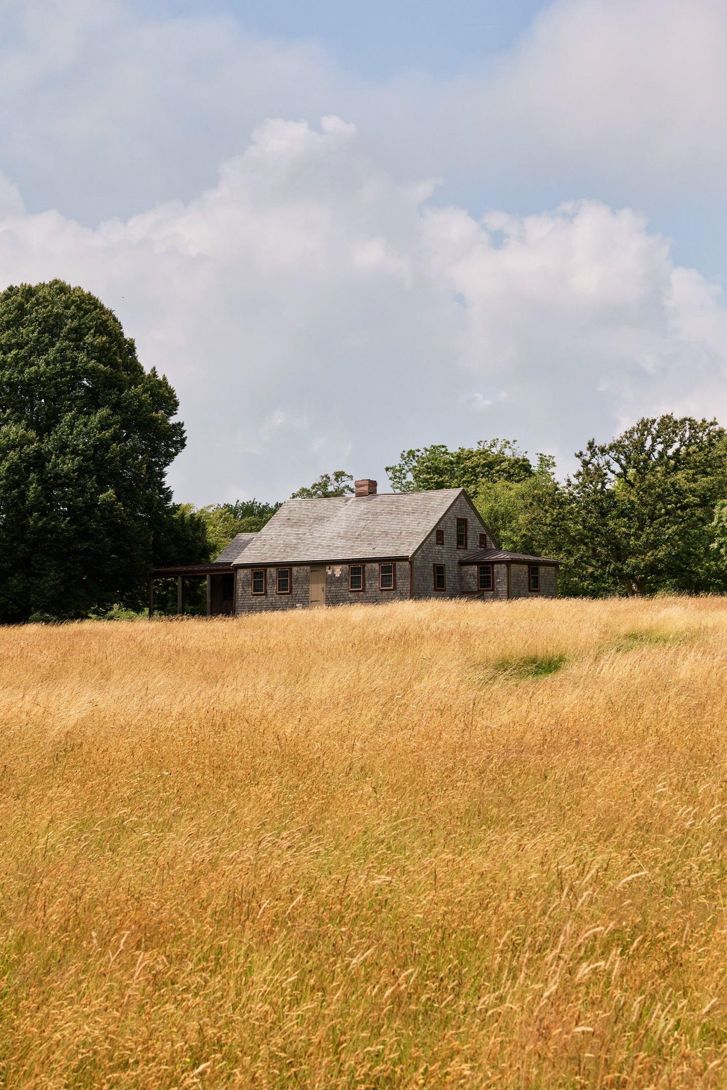 Lily Farm Vineyard main photo