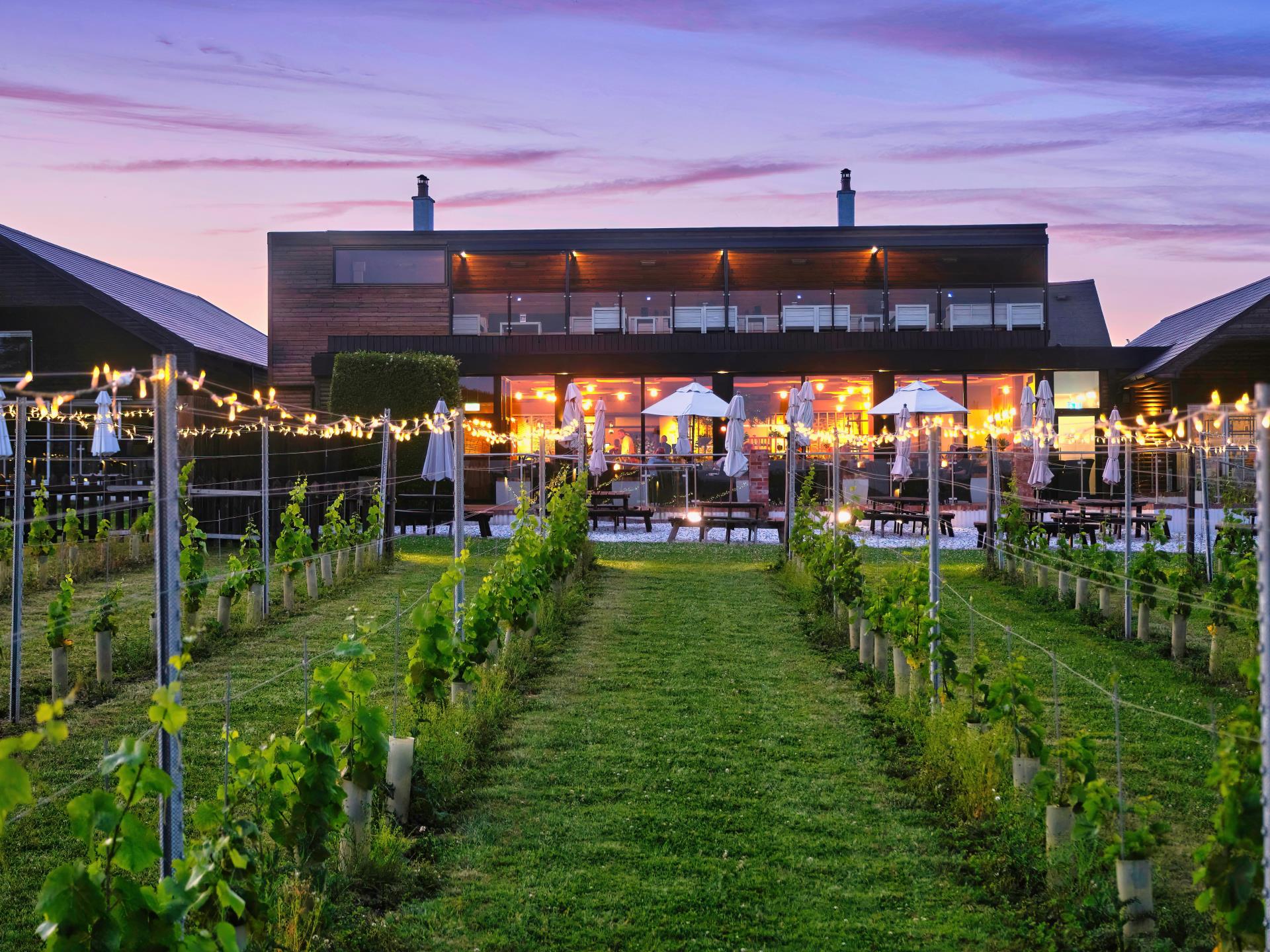 Llanerch Vineyard Hotel main photo