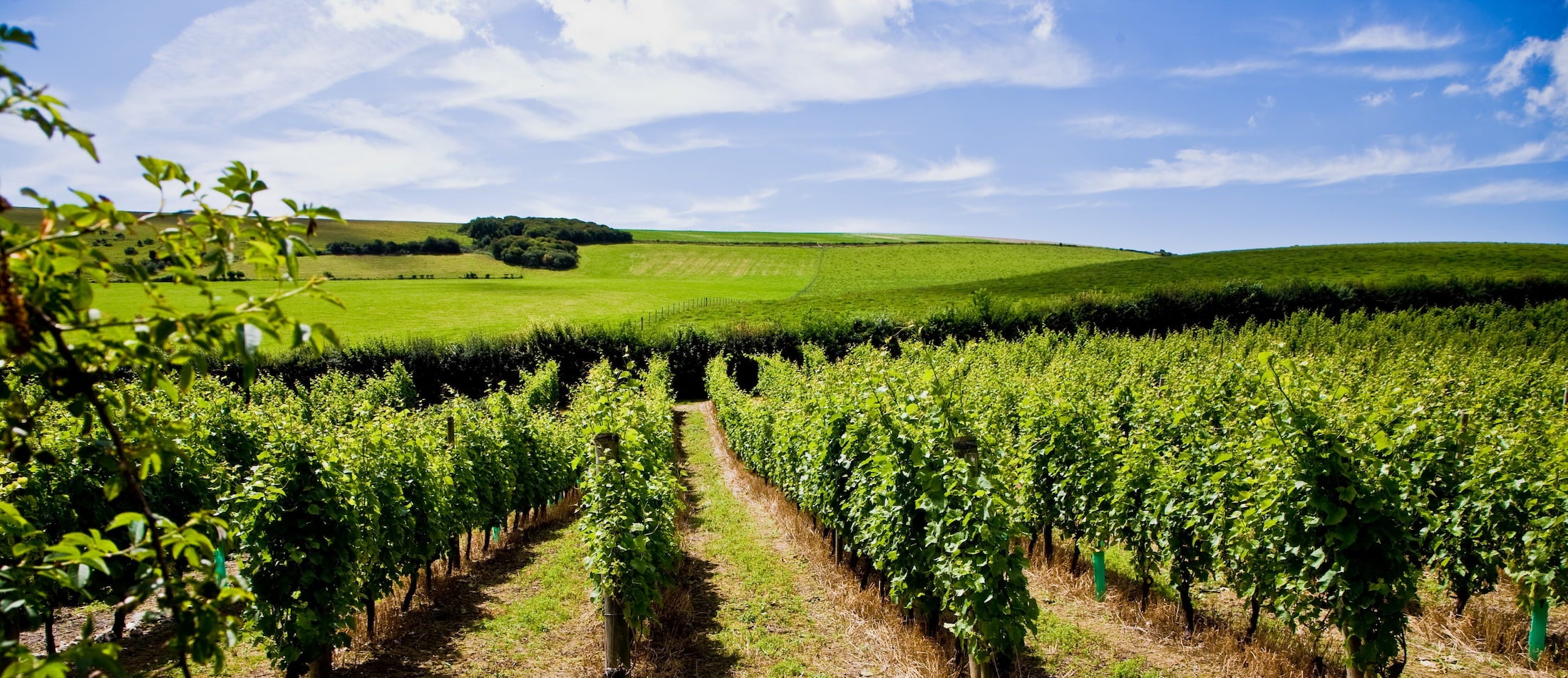 Mallard Point main photo