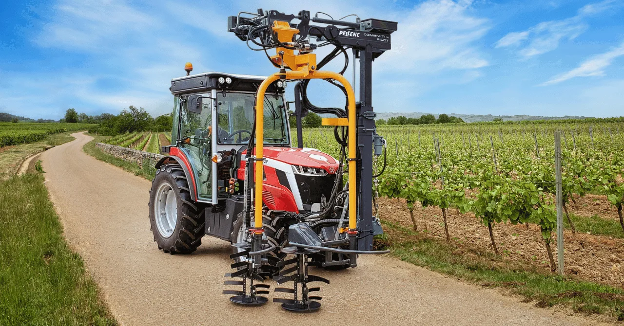 Mountfield Vineyard main photo