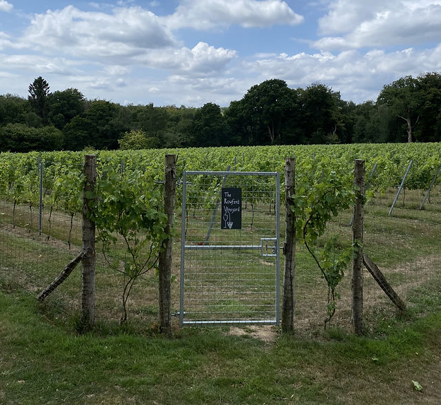 Rowfant Vineyard main photo