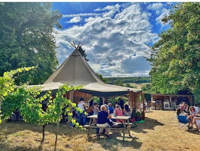 The Mount Vineyard main photo