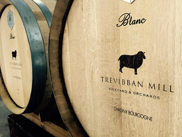 Trevibban Mill main photo