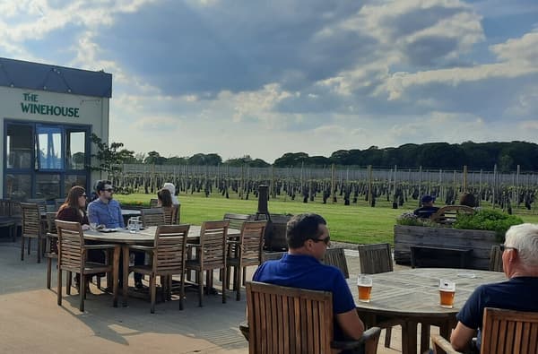 Yorkshire Heart Vineyard main photo