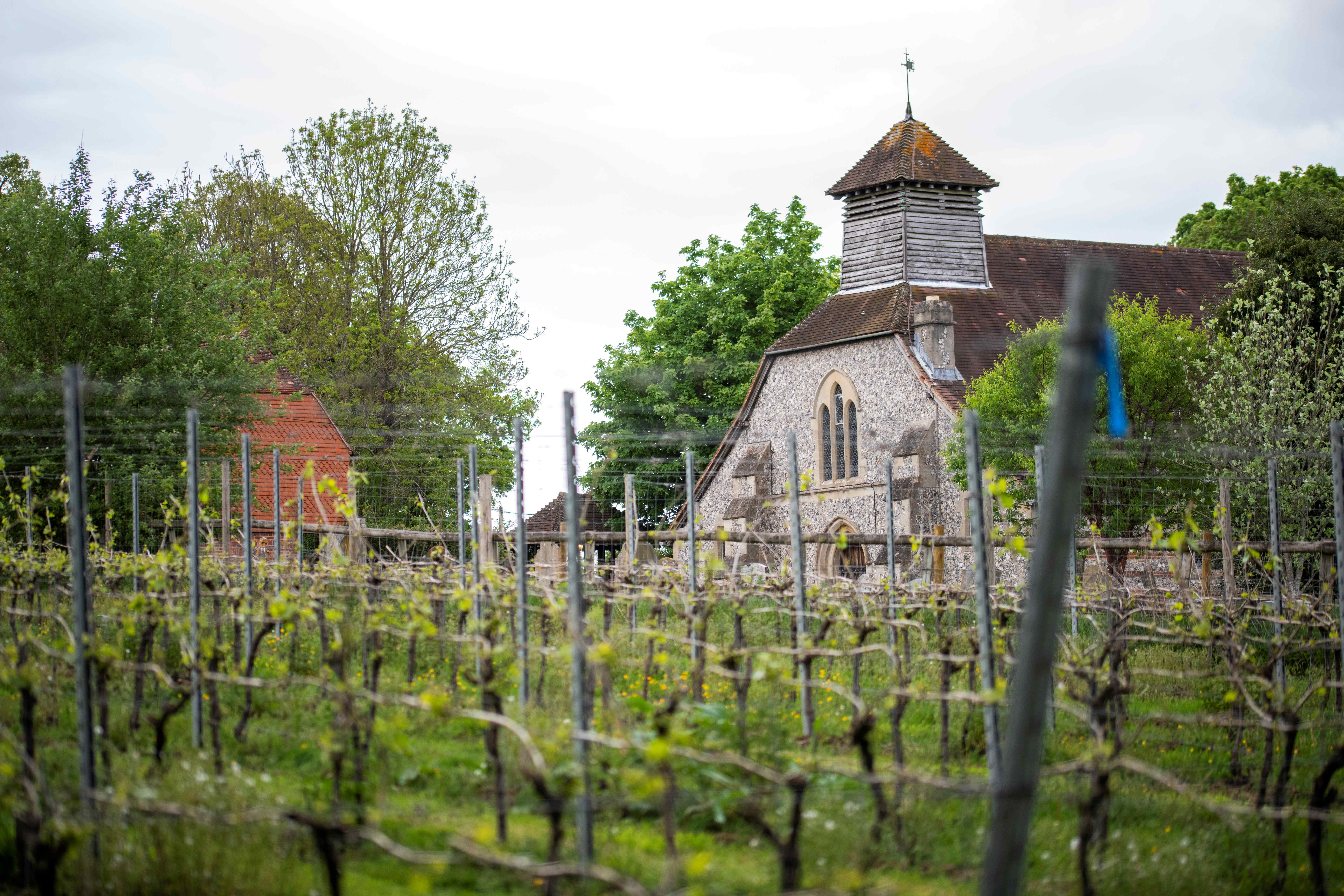 All Angels main photo