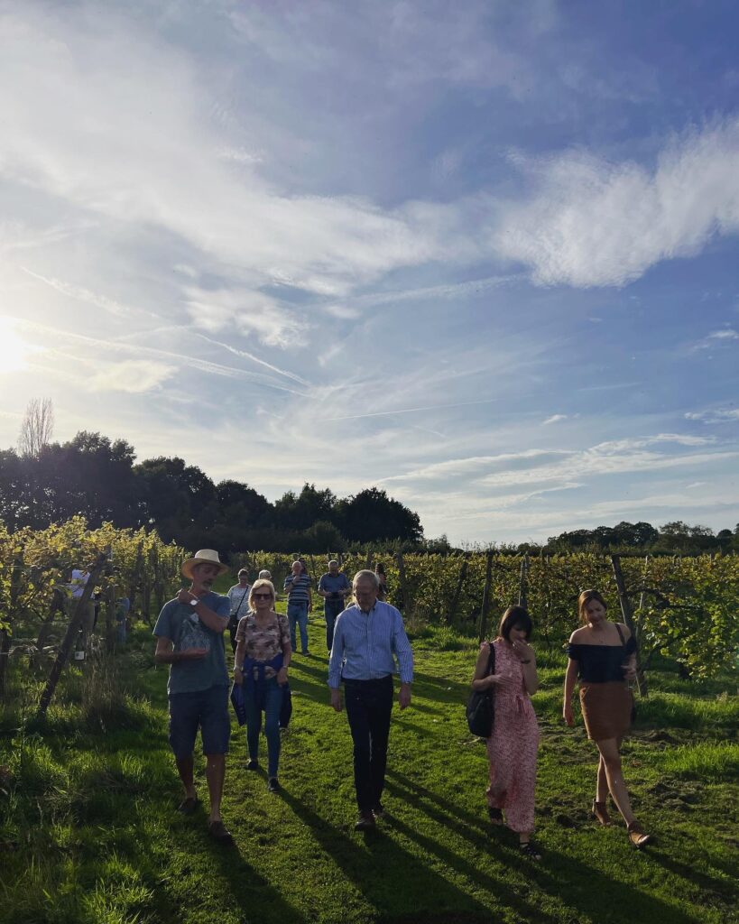 Astley Vineyard main photo