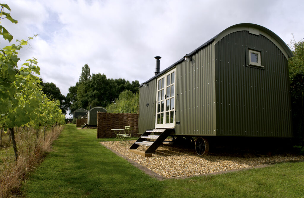 Astley Vineyard photo 2