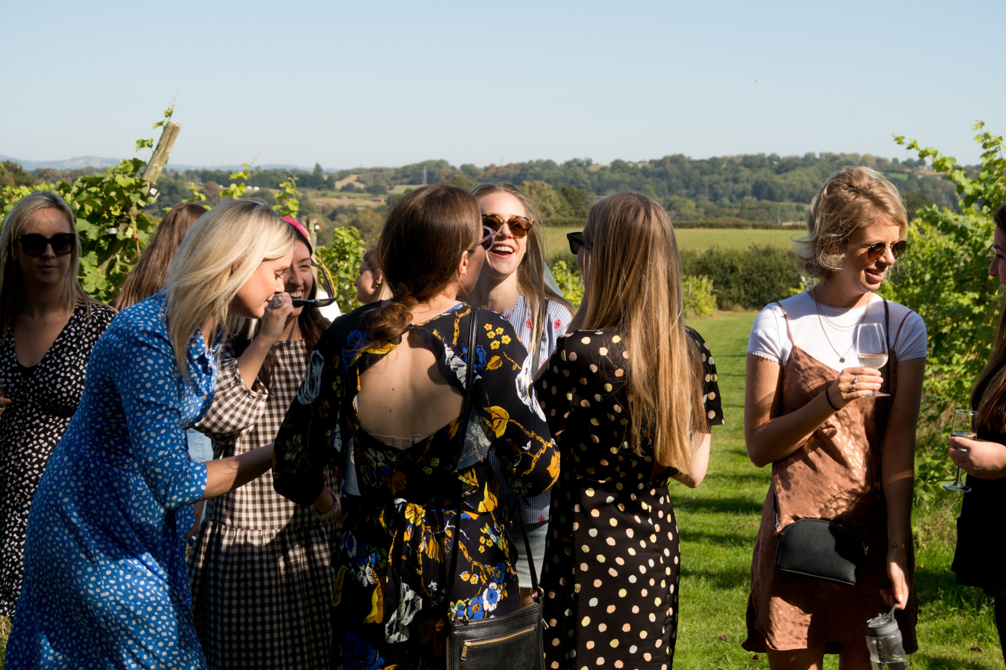 Astley Vineyard photo 3