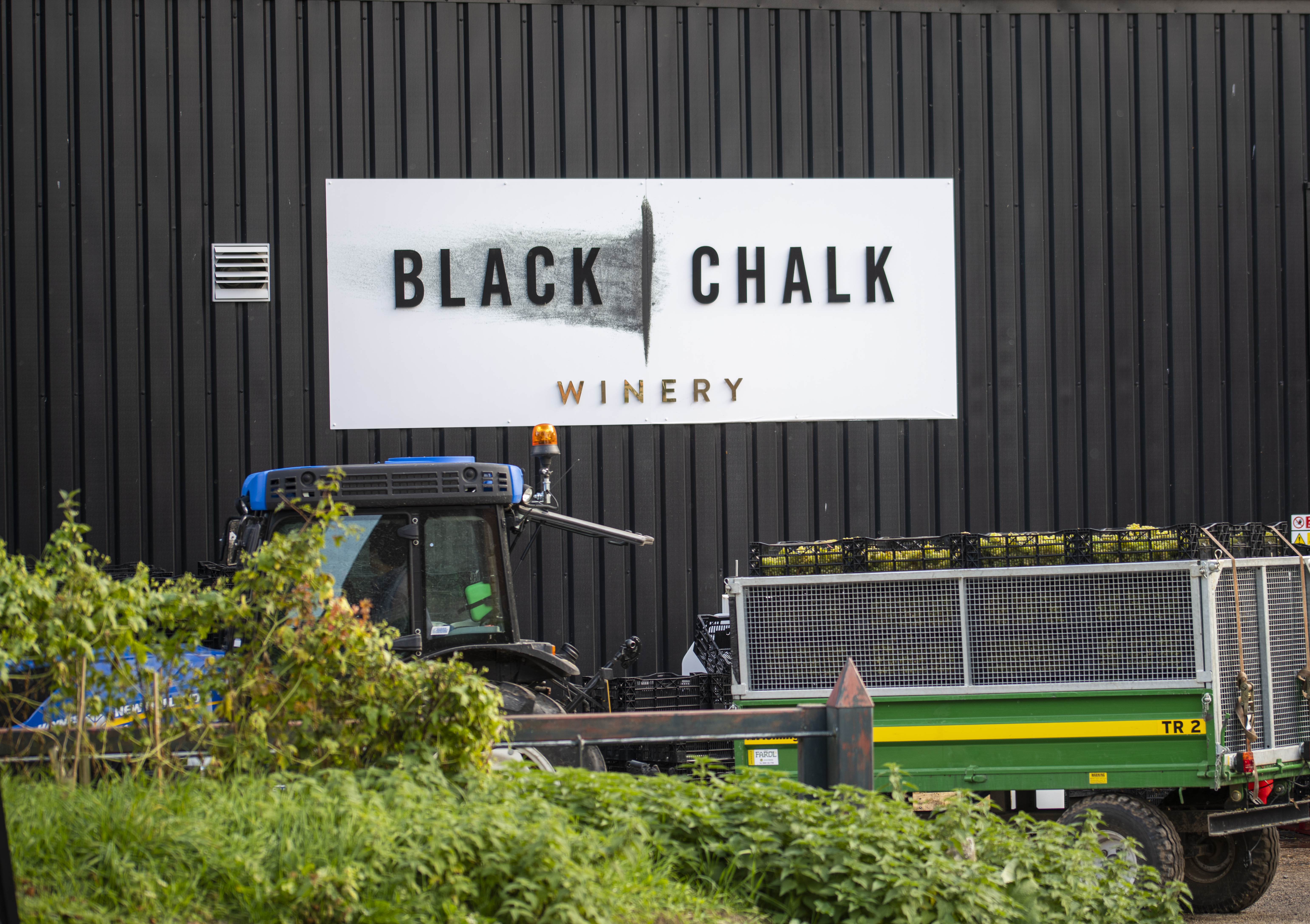 Black Chalk Wine photo 2