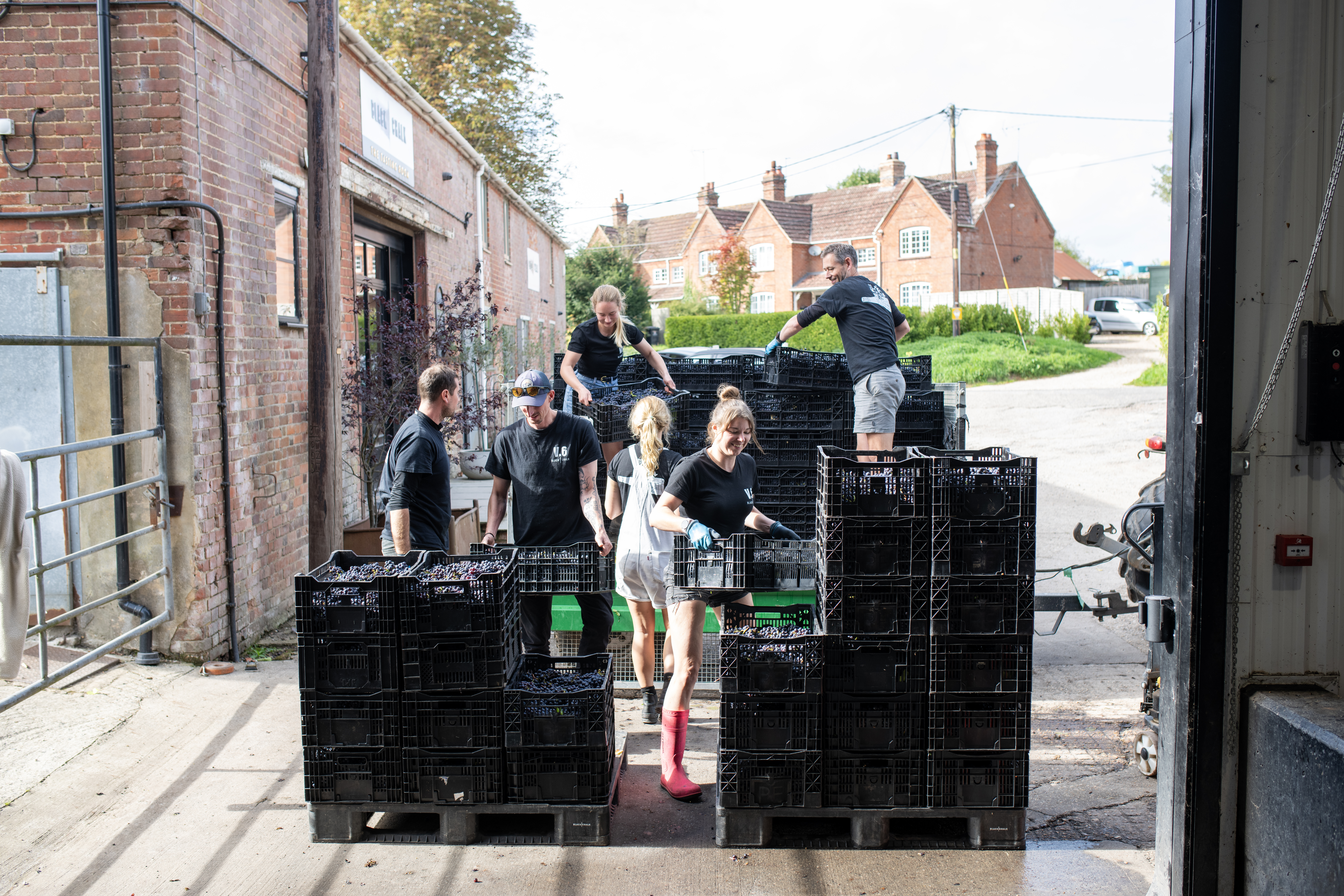 Black Chalk Wine photo 6