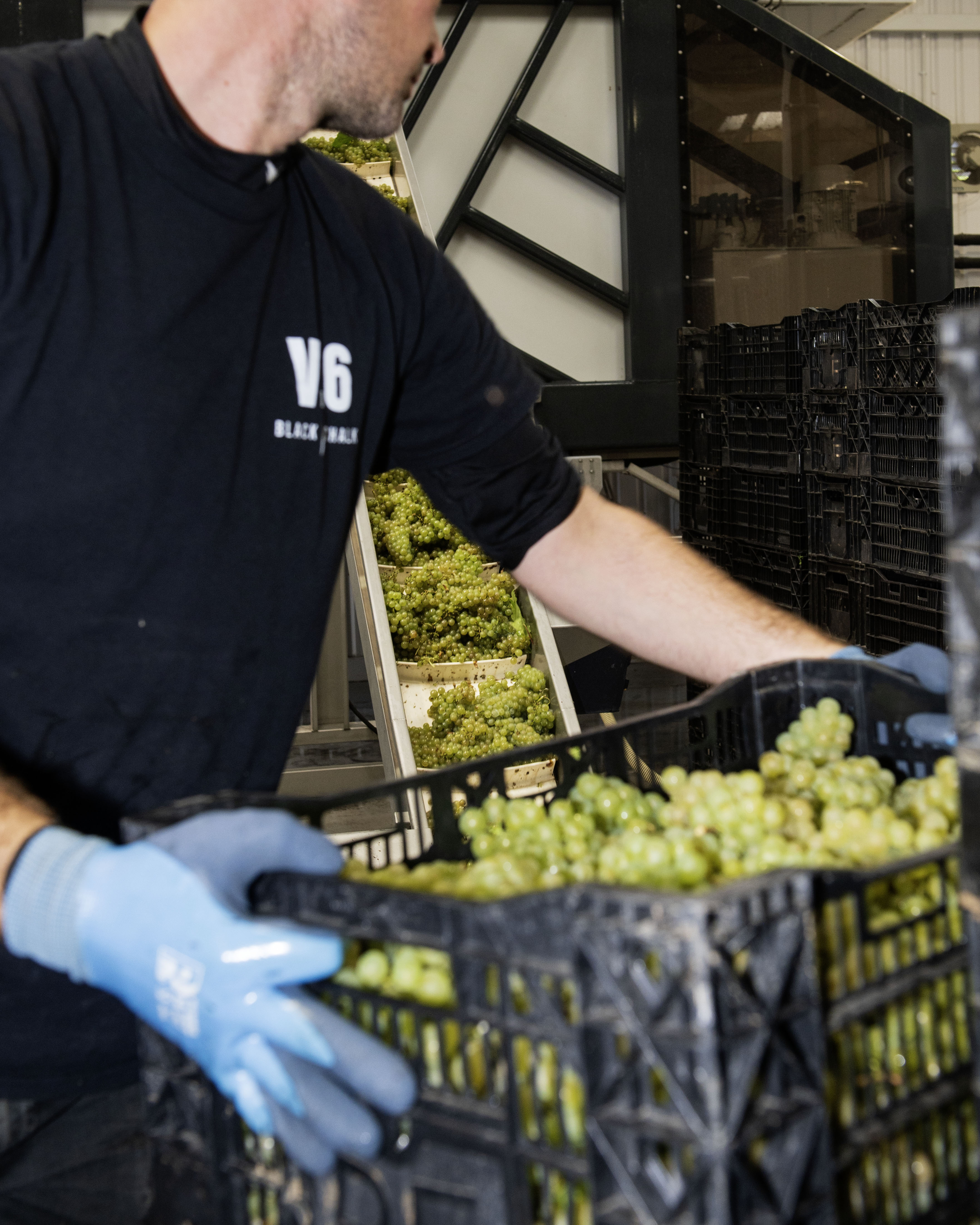 Black Chalk Wine photo 7