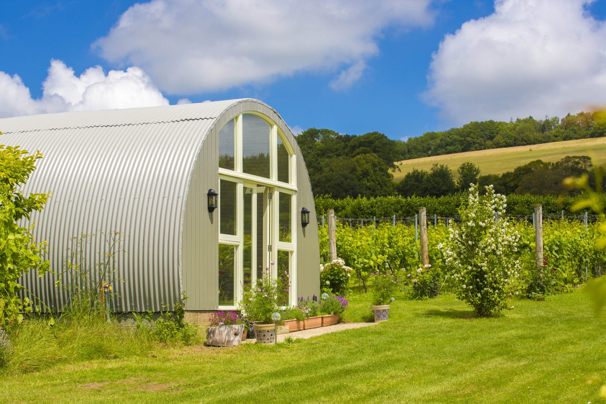 Brabourne Vineyard photo 3