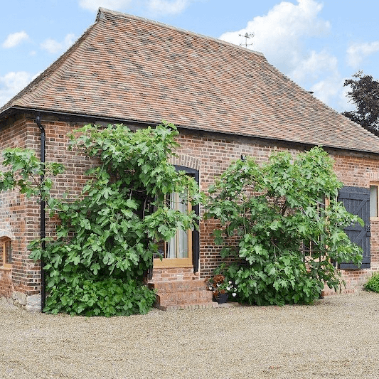 Brabourne Vineyard photo 4